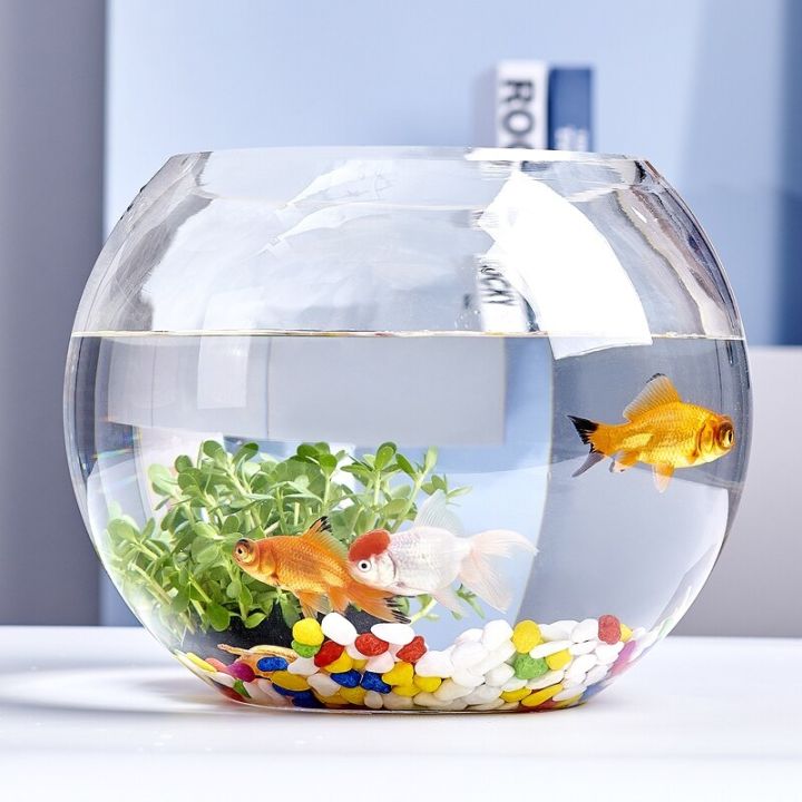 Glass) Aquarium Fishbowl Home Decoration Round Bowl Fish Tank - 14cm x  12.5cm (Short) & 12.5cm x 25cm (Tall)