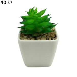 Kaktus mini / Tanaman hias / Aneka macam kaktus / Tanaman plastik / 1