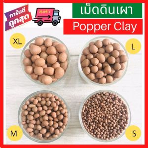 เม็ดดินเผา มวลดินเผา Popper Clay เม็ดดินสีอิฐ ขนาด S/M/L/XL ถุงละ 1 ลิตร ดินเผาโรยหน้าดิน ดินเผาใส่หน้าดิน ดินสีน้ําตาล แคคตัส