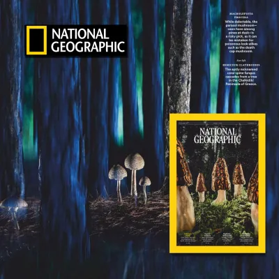(WAREHOUSE CLEARNCE PRINTED SALES) NATIONAL GEOGRAPHIC Magazine English Printed Edition.