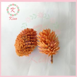 Biji Duren Durenan Aksesoris pernak pernik biji bunga cemara hiasan ruangan kerajinan tangan