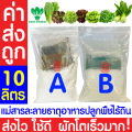*ค่าส่งถูก* สารละลาย AB ไฮโดรโปนิกส์ เอบี ธาตุอาหาร น้ำ ผักไฮโดร Hydroponics สลัด ผักไทย ผักกาด ผักจีน ปลูกพืชไร้ดิน ปลูกผักไฮโดร. 