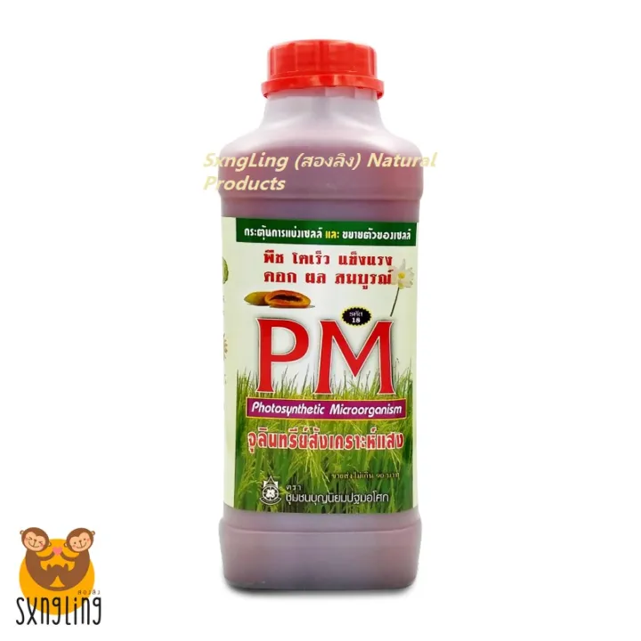 10 อันดับ จุลินทรีย์สังเคราะห์แสง ยี่ห้อไหนดี? อัปเดตปี 2025 เพื่อพืชโตไว ดินสมบูรณ์!