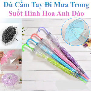 Dù Cầm Tay Đi Mưa Trong Suốt Hình Hoa Anh Đào