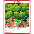 Hạt giống cây cỏ may mắn. 