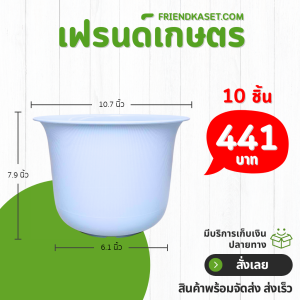 กระถาง กระถางต้นไม้ มินิมอล ถ้วยจีน ขนาด 11 นิ้ว สีฟ้าพาสเทล 10 ใบ ชิ้น อัน