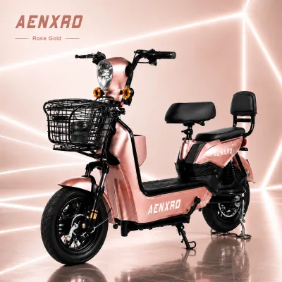Q8 Electric Bicycle NFC Card 800W 48V 12AH Adult E Bike 2025 Version Long Range with 4 Batteries Free Rearview Mirror Remote Control