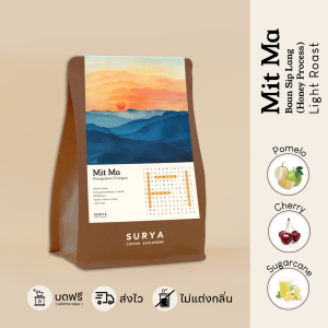 Surya Coffee Explorers เมล็ดกาแฟไทย  Mit Ma Chiangrai "Honey Process"