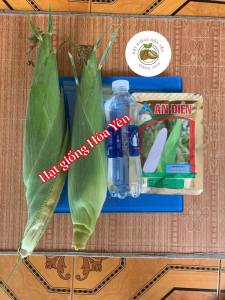 Hạt giống bắp nếp Thái Bạch gói 100 gam