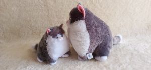 Dreamtoys96 Boneka Kucing Cat Bubble Cute