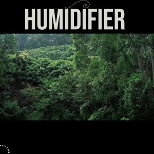 Humidifier Aromatherapy Night Light Unique Aromatherapy Air Humidity Regulator Rainwater Steam Shape