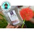 ChiaSeed เมล็ดเจีย 100 กรัม (แพ็คสูญญากาศซิปล็อค). 