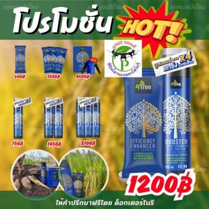 4Treeของแท้ โฟร์ทรี+บู๊สเตอร์ คู่หูพลังคูณ 4 สารเพิ่มประสิทธิภาพพืชสูตรอิออน อินทรีย์ธรรมชาติแท้ [1 ชุดใช้ได้ 20 ไร่ ]ช่วยเร่งขยายราก พืชโตเร็ว เขียวทน เขียวนาน เพิ่ม%แป้ง เพิ่มน้ำยาง นวัตกรรมใหม่จากอิสราเอล ใช้ได้กับพืชทุกชนิด ของแท้100%