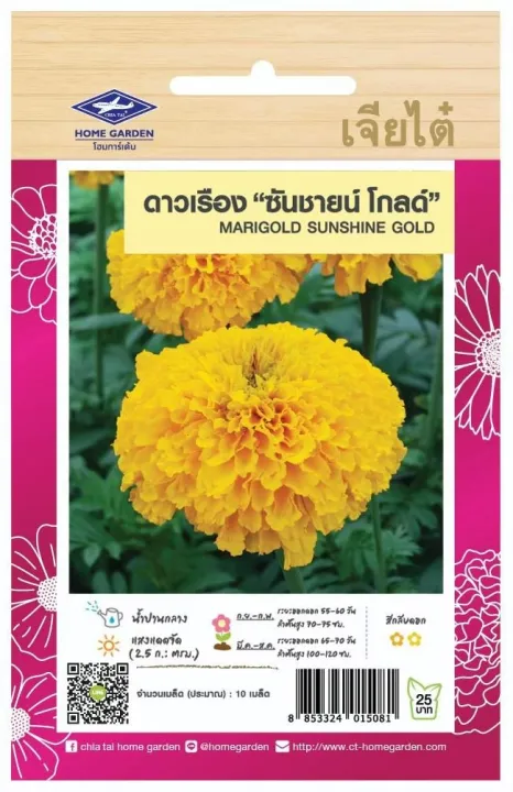 เมล็ดพันธุ์ดาวเรือง ซันชายน์ โกลด์ สีทองสดใส