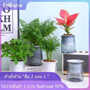 [COD] EHBqna KITCHEN กระถางต้นไม้พลาสติกใสรดน้ำเองสองชั้นแจกันดอกไม้อัตโนมัติกระถางต้นไม้สำหรับตกแต่งกระถางดอกไม้ไฮโดรโพนิก