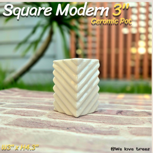 แจกัน ทรงสี่เหลี่ยม Modern (Square Modern Ceramic Vase)