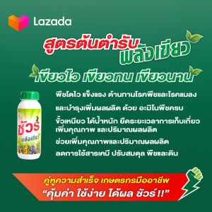 เฉียดปุ๊บเขียวปั๊บ.! เพิ่มผลผลิต ฟื้นต้นโทรมในทันที ด้วยวัคซีนพืชและอะมิโนพืชเกรดนําเข้า ชัวร์ พลังเขียว สูตรต้นตํารับ เขียวทนเขียวนาน