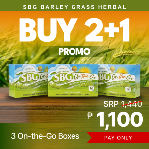 SBG Barley Grass Herbal On the Go Boxes 100% Pure Barley Grass 12 Pack Buy 2+1 Promo SRP 1440 Price 1100