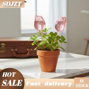 SDJZT Phong Cách Nhà Máy Tưới Nước Giải Pháp Tulip Nhà Máy Tưới Nước Quả Bóng Tự Tưới Nước Bóng Đèn Cho Trong Nhà Ngoài Trời Cây Tự Động Gai