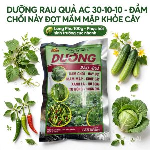 Phân Bón Lá Hỗn Hợp AC DƯỠNG NPK 30-10-10 (Gói 100g) - Siêu Đâm Chồi Mập Thân Xanh Dày Lá.