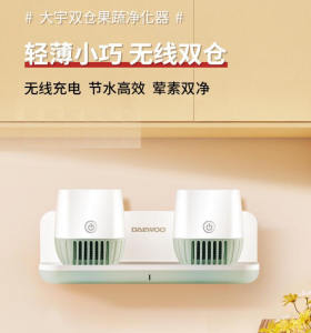 DAEWOO wireless double warehouse fruit and vegetable washing machine removing agricultural residues and washing vegetables automatic food purifier