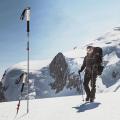 Naturehike FAR WIND Series Carbon Fiber Trekking Pole Telescopic Cork Handle Stick Trek Walking Light Weight Walk Rod Pole Men Woman Folding Equipment. 