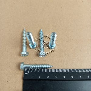 10 BIJI SEKRUP DESKRUP LAG SCREW LAGSCREW KUNCI 10 1/4 X 1 1/2 PANJANG 35CM 35 CM 1/4X1 1/2 SKRUP BAUT 35MM 35 MM GALVANIS DEKSKRUP DESK SKRUP LAG BOLT DIAMETER DRAT 6MM HAERIO FASTENER