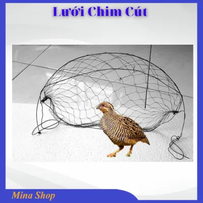 Combo 10 Lưới Cút Cao Cấp – Khung Thép Cứng Cáp Lưới Siêu Nhạy Tàng Hình
