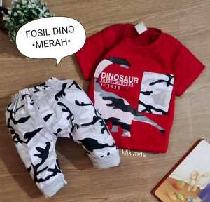 Setelan Anak Laki laki motif fosil dino