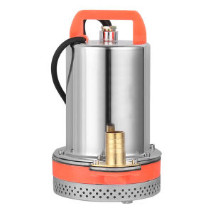 DC 12V/24V/48V Agricultural Irrigation Submersible Pump Electric Small Deep Well Water Pump 1inch Outlet
