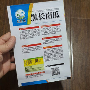 Hạt giống bí đỏ vỏ xanh bí ngô dài vỏ xanh hàng nội địa Trung nhập khẩu