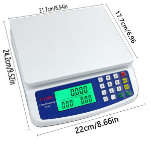 Electronic Sales Scale Dt580 30Kg/1G - Cheap Electronic Cash Register Scale - Free Charger + Battery