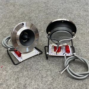 Loa Treble Pioneer P103 Lắp Chân Sắt Và Mạch Phân Tần