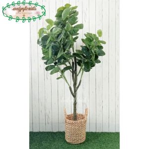 Pohon Artificial Daun Mangkokan X4 T140 Semi Latex Pot Dasar Cover Eceng Gondok Handle Dekorasi Rumah Aesthetic