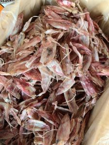 หมึกเจาะตา 500กรัม โรงงานขายเอง