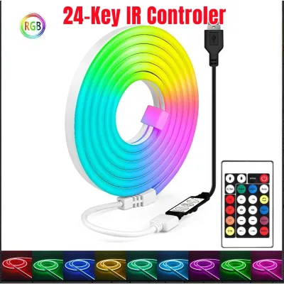 16 Colors LED Neon Strip Bluetooth RGB Outdoor Lighting 24V Waterproof LED strip light，24 Keys and APP Music Synchronization for Swimming Pool Courtyard Bedroom Party HolidayChristmas Decora