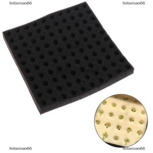 feibeinan66 100 Pcs Soilless Hydroponic Vegetables Nursery Sponge Culture Water Planting