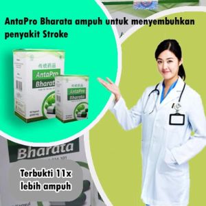Antapro Bharata Obat Stroke Paling Ampuh 100% Original
