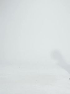 Succming Quần short thể thao mùa hè Pilates không lộ đường may cho phụ nữ quần yoga nâng hông cao quần chạy bộ đạp xe thể dục ba điểm D25062