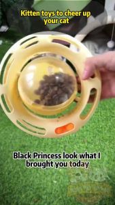 4 in1 Cat Spinning Ball Interactive Cat Tumbler Ball Toy Automatic Self-Play Teasing & Food Dispenser for Kitten