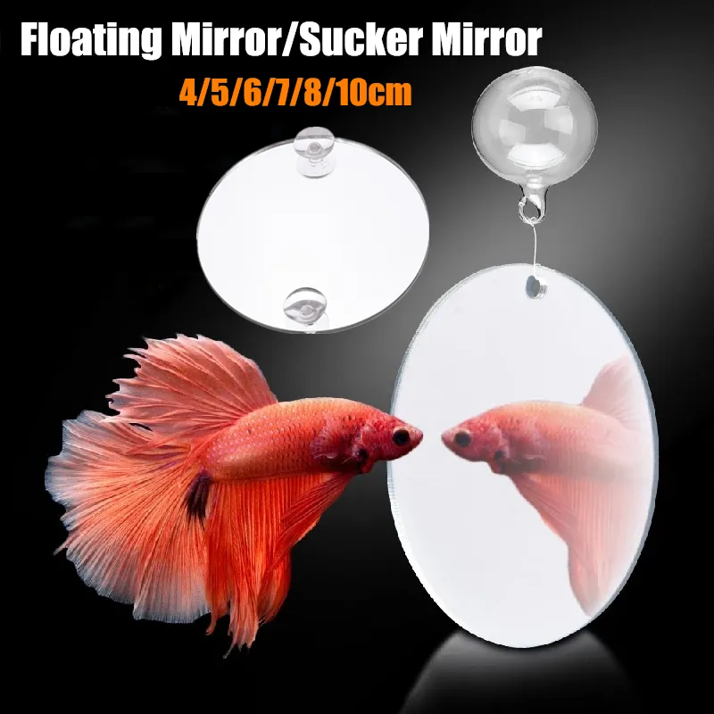 Aquarium Betta Training Mirror Acrylic Hang on Floating Mirror For Fish Tank Betta Flowerhorn Brontosaurus Playing Toy Lazada PH