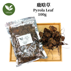 鹿含草 100g Pyrola leaf 鹿衔草 六含草