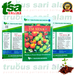 TM XENA F1 - isi 1.750 biji benih bibit buah sayur sayuran hibrida tomat ORIGINAL TANI MURNI