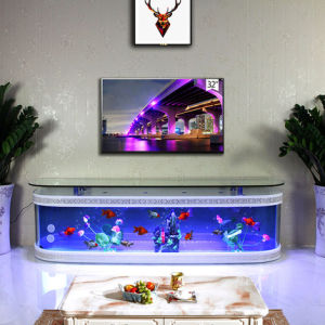 240cm European-style fish tank aquarium home living room ecological water-free floor-to-ceiling glass bar TV cabinet