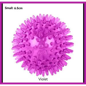 Spiked Squeaky Dog Toys Ball And Donut Shaped Pet Toys For Small to Medium Dogs Noise Making Dog Toys (Per Piece)