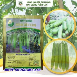 Melo 58 Hạt giống mướp hương siêu trái Đồng Tiền Vàng ( 100 hạt)
