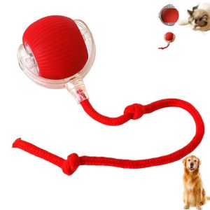 2PCS Auto Electric Rolling Ball Toys Cat Teasing Ball Cat Toy Ball Self-Happy Boredom Relief Handy Tool with Rope Pet