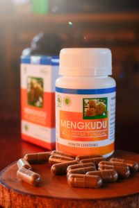 Kapsul mengkudu atasi kecing manis dan darah tinggi isi 60 kapsul Herbal Indo Utama