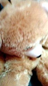 Tas Boneka Beruang Teddy Bear & Daypack Sempurna Untuk Anak & Dewasa