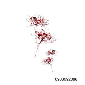 Tattoo hoa bỉ ngạn hoa bồ công anh Hình xăm dán nhiều mẫu Sticker Tattoo nhỏ HCM